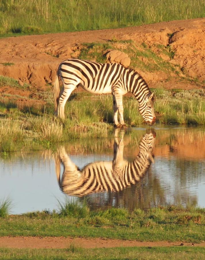 Letsatsi Game Lodge Smithfield Eksteriør bilde