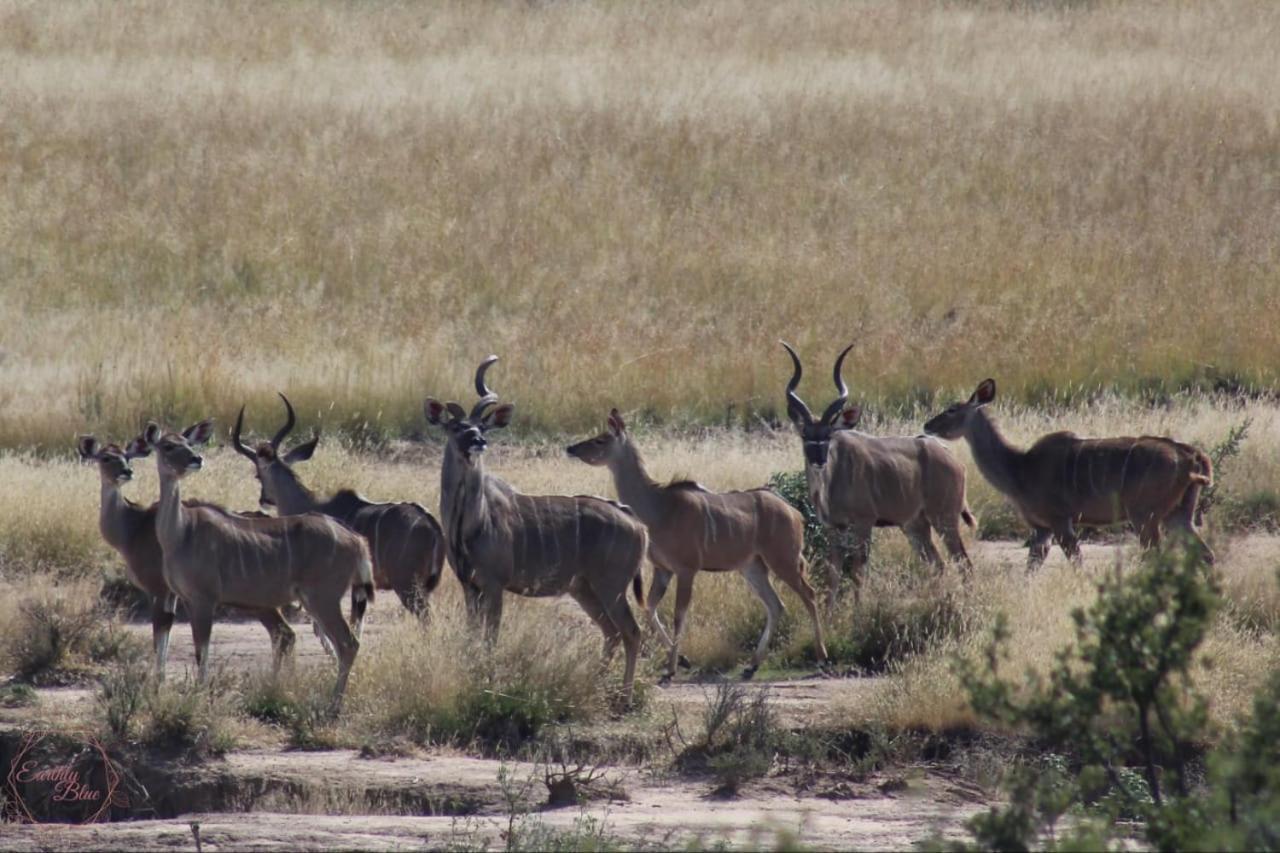 Letsatsi Game Lodge Smithfield Eksteriør bilde