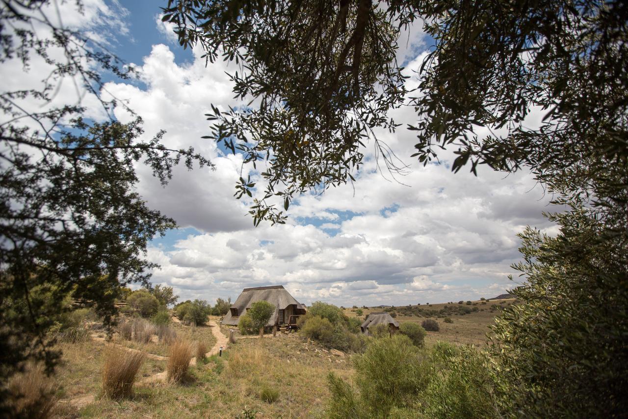 Letsatsi Game Lodge Smithfield Eksteriør bilde